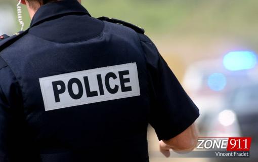 Un suspect de 18 ans arrêté pour introduction par effraction, agression armée et cruauté envers un animal